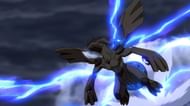 Both Zekrom and Reshiram have a lot to like in PvE and PvP (Image via The Pokemon Company)